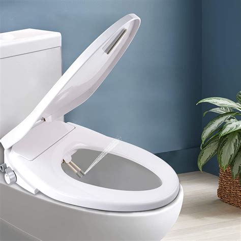 Bidet Toilet .